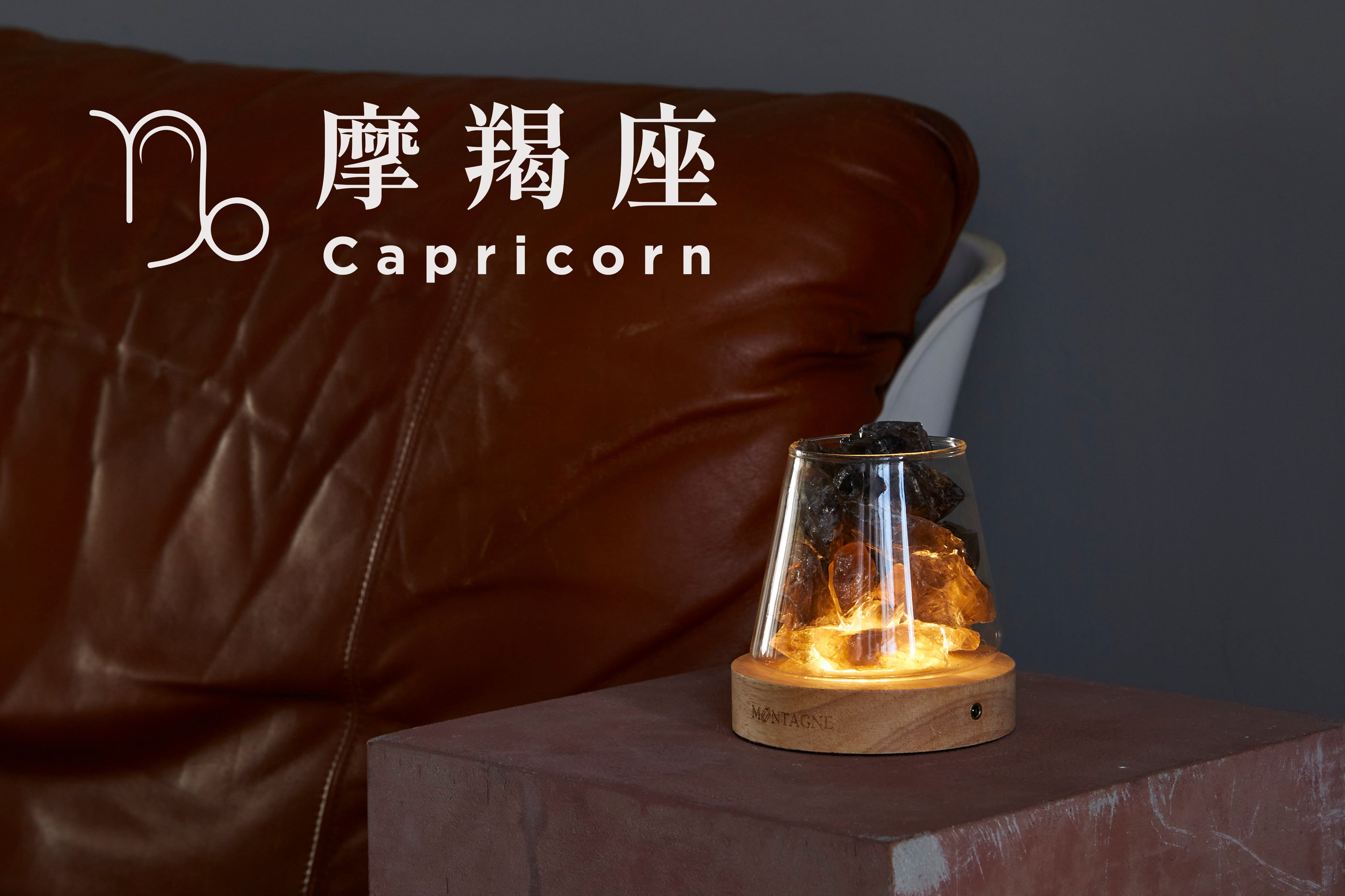 摩羯座 Capricorn (12/22 - 01/19)