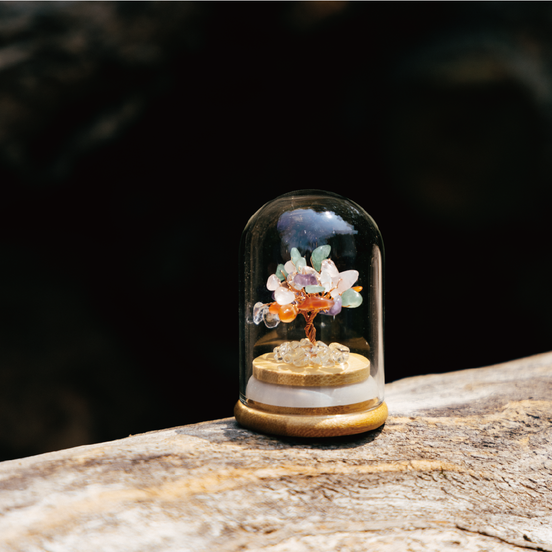 Preserved|彩晶|全效。通用