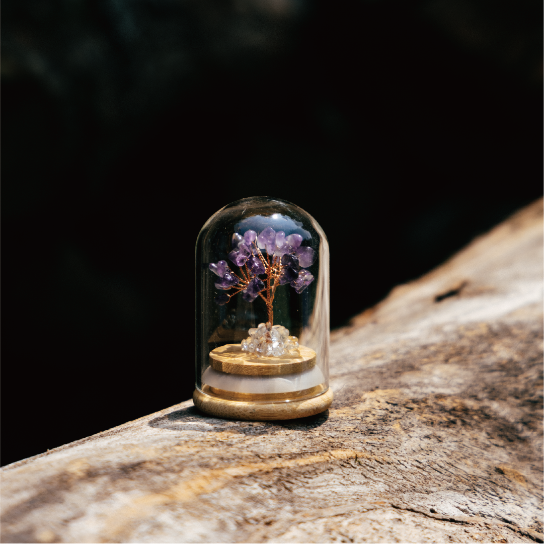 Preserved|紫水晶|權利。守護