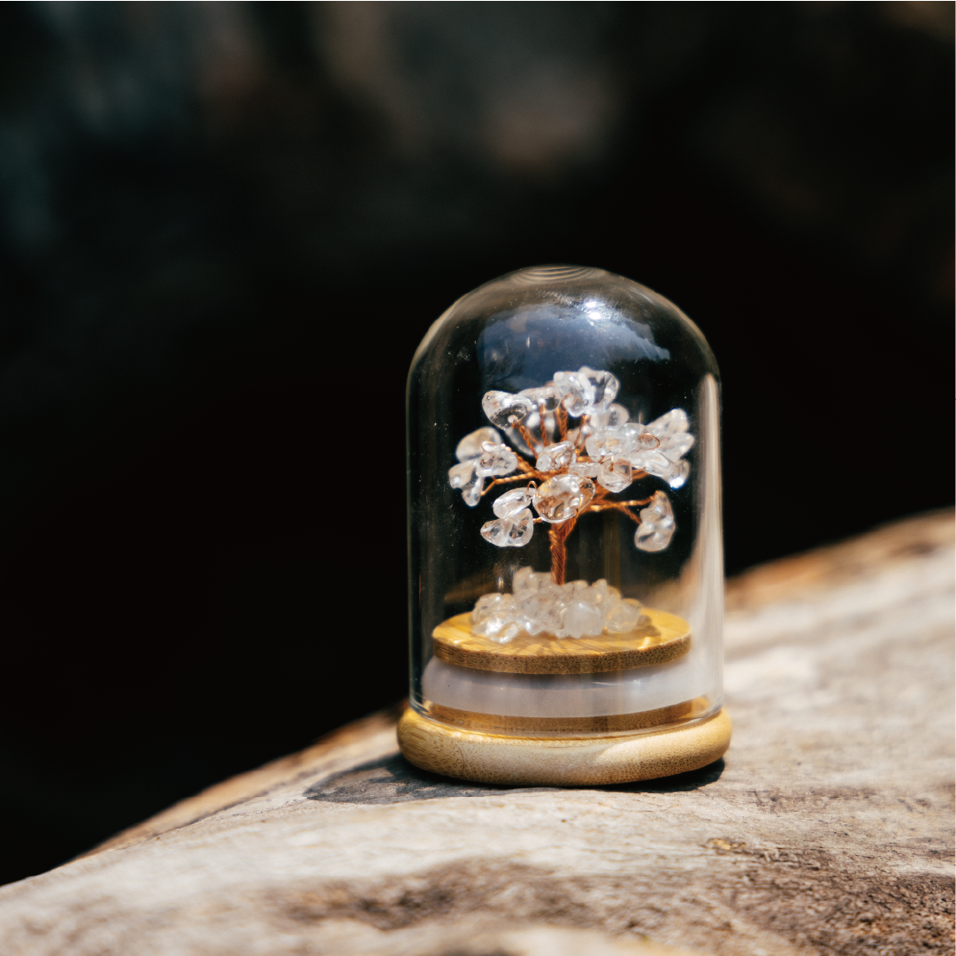 Preserved|白水晶|全效。擴大