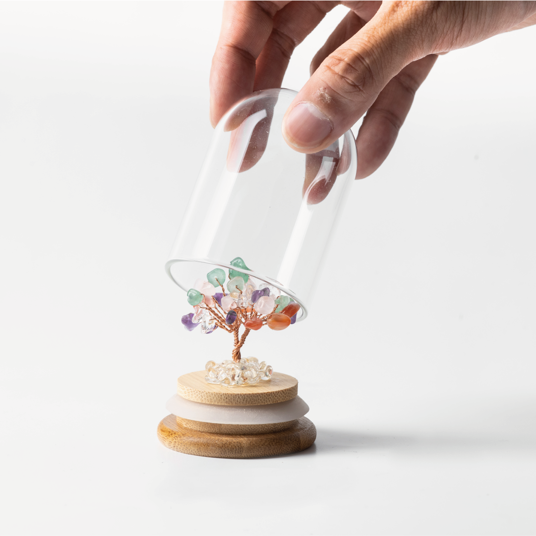 Preserved|彩晶|全效。通用