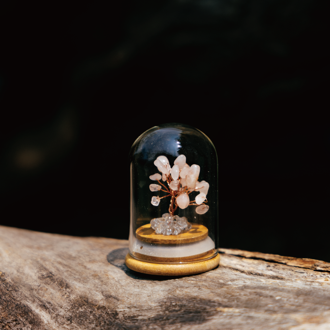 Preserved|粉水晶|愛情。人脈