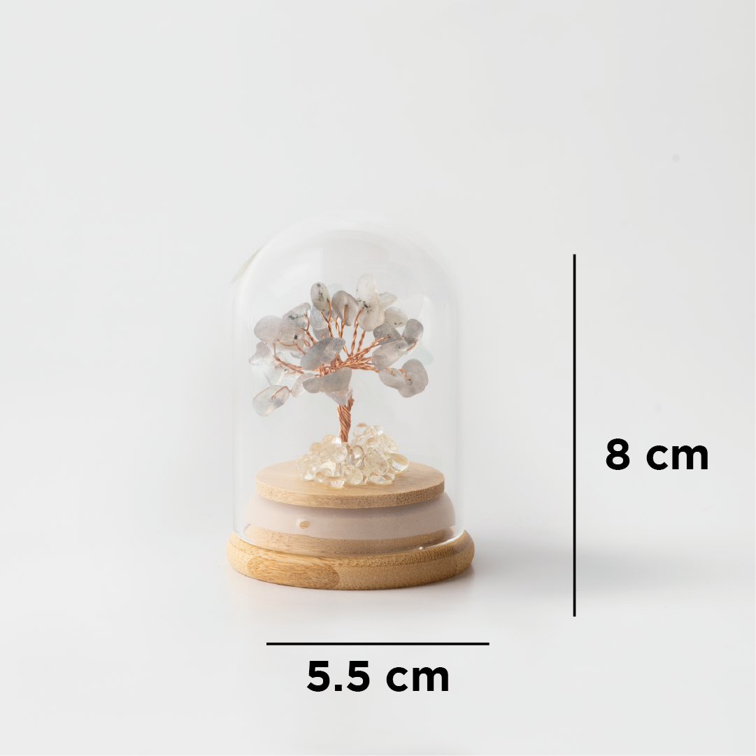 Preserved|拉長石|愛情。激發