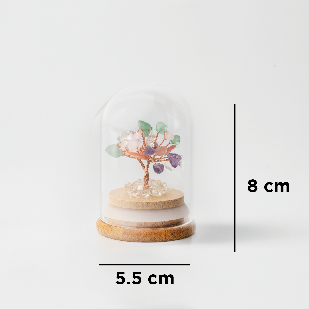 Preserved|彩晶|全效。通用