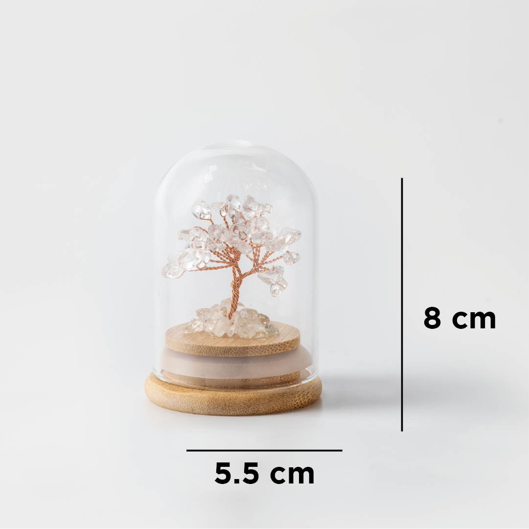 Preserved|白水晶|全效。擴大