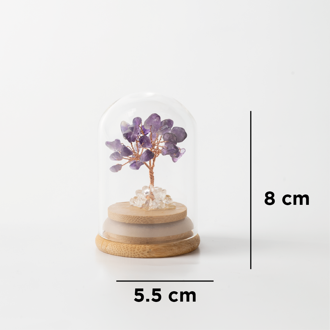 Preserved|紫水晶|權利。守護