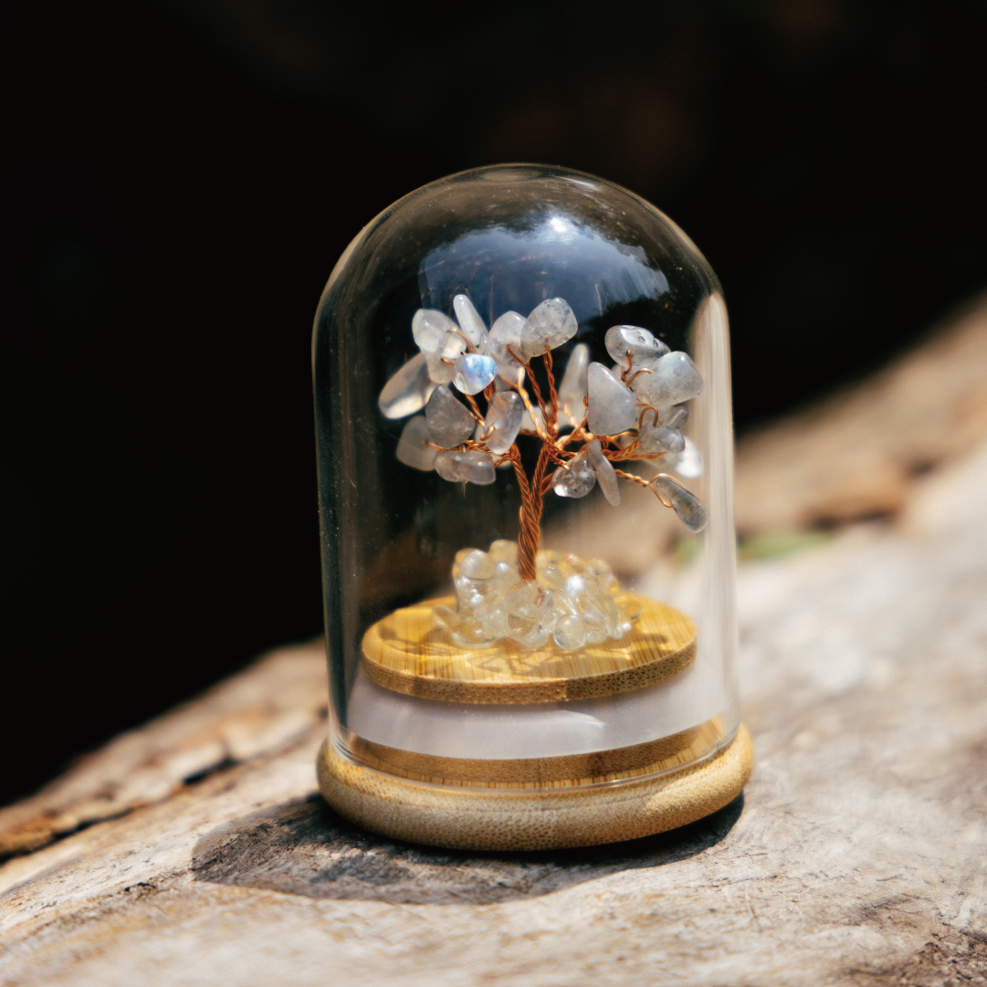 Preserved|拉長石|愛情。激發