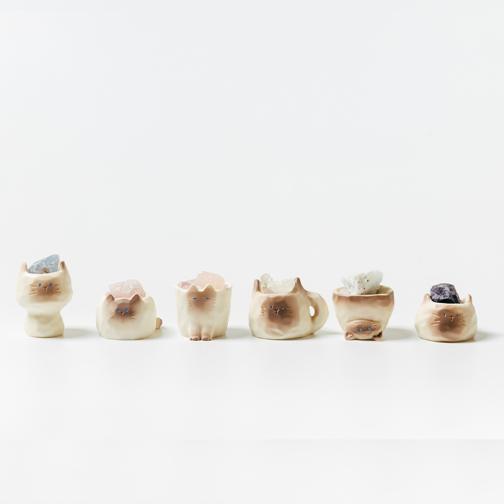 過季特賣|貓咪盲盒