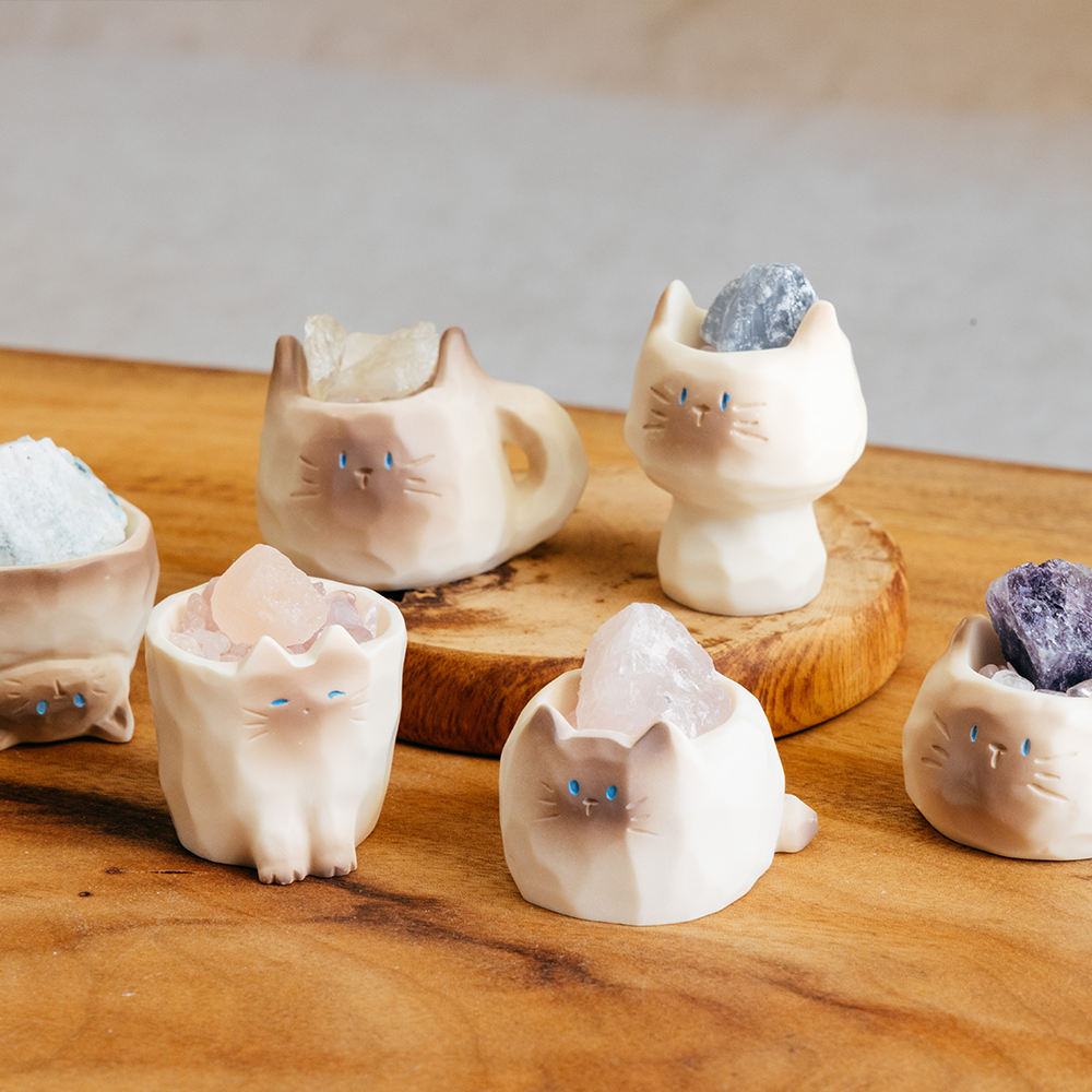 過季特賣|貓咪盲盒