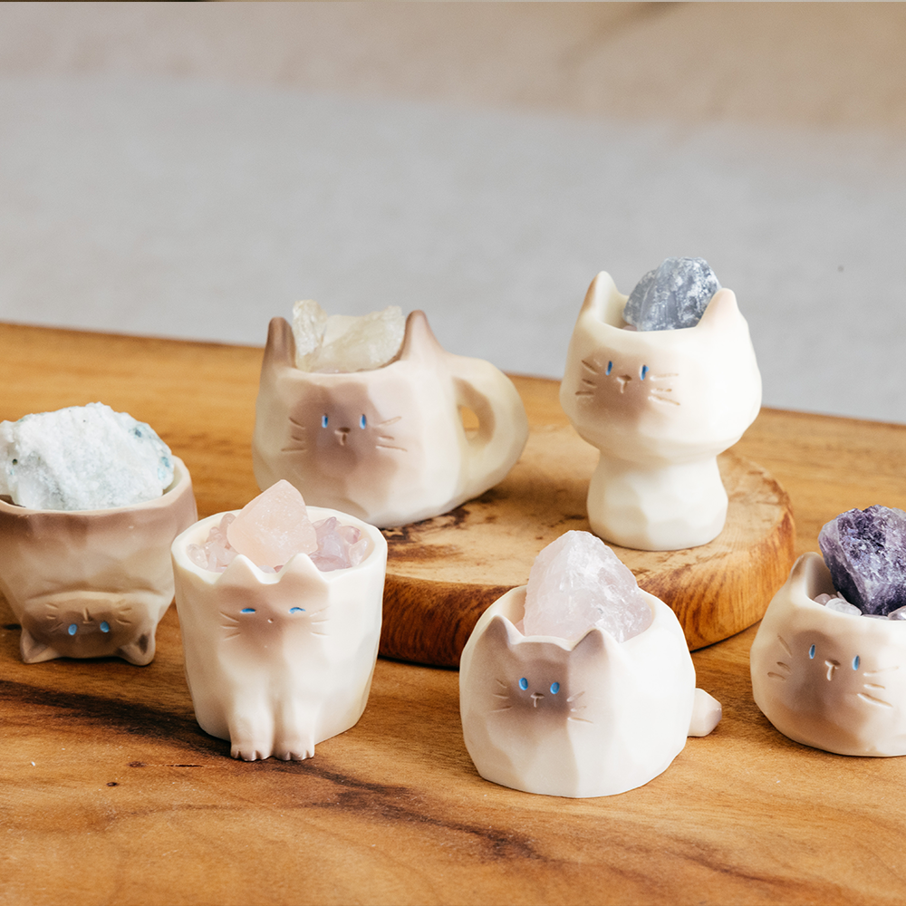 過季特賣|貓咪盲盒