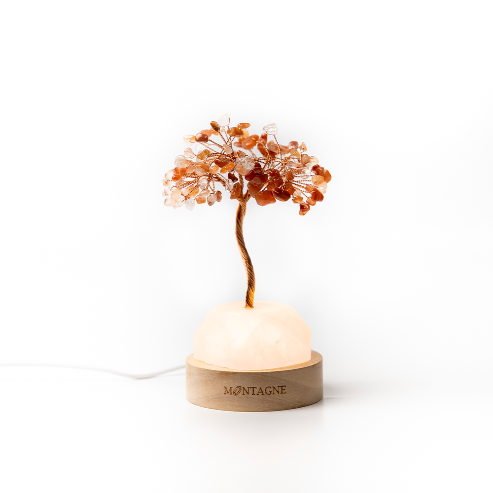 原礦水晶樹丨Hawaii丨紅瑪瑙。粉水晶丨勇氣。力量。愛