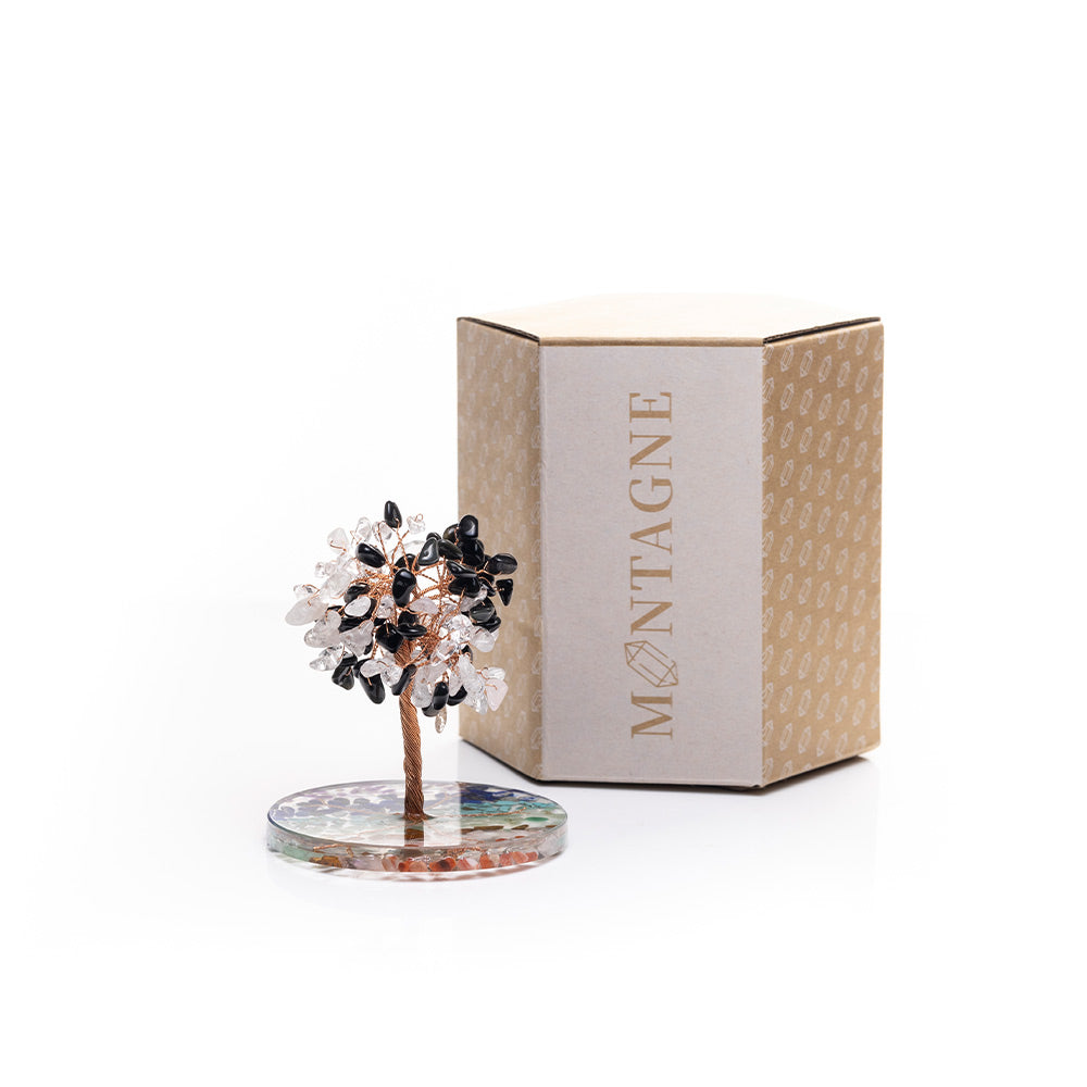 包套水晶樹|5款全包