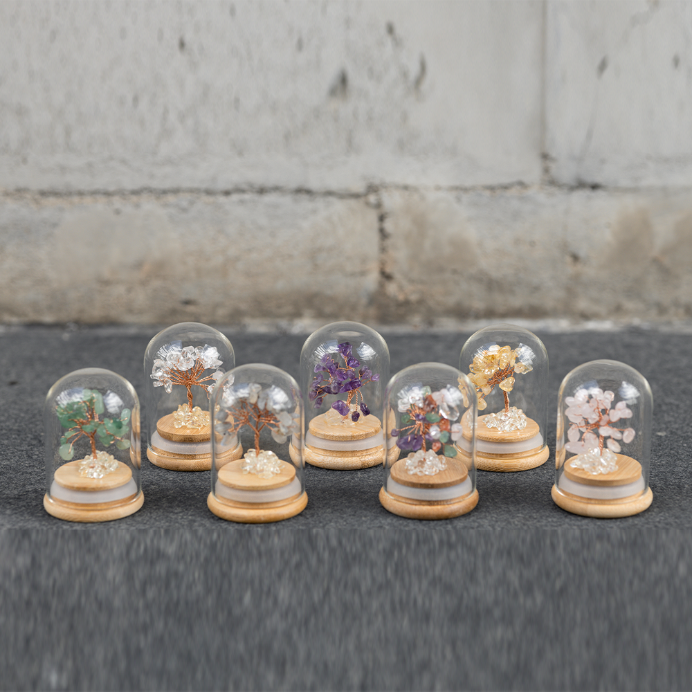 Preserved|全套水晶樹|7款全包