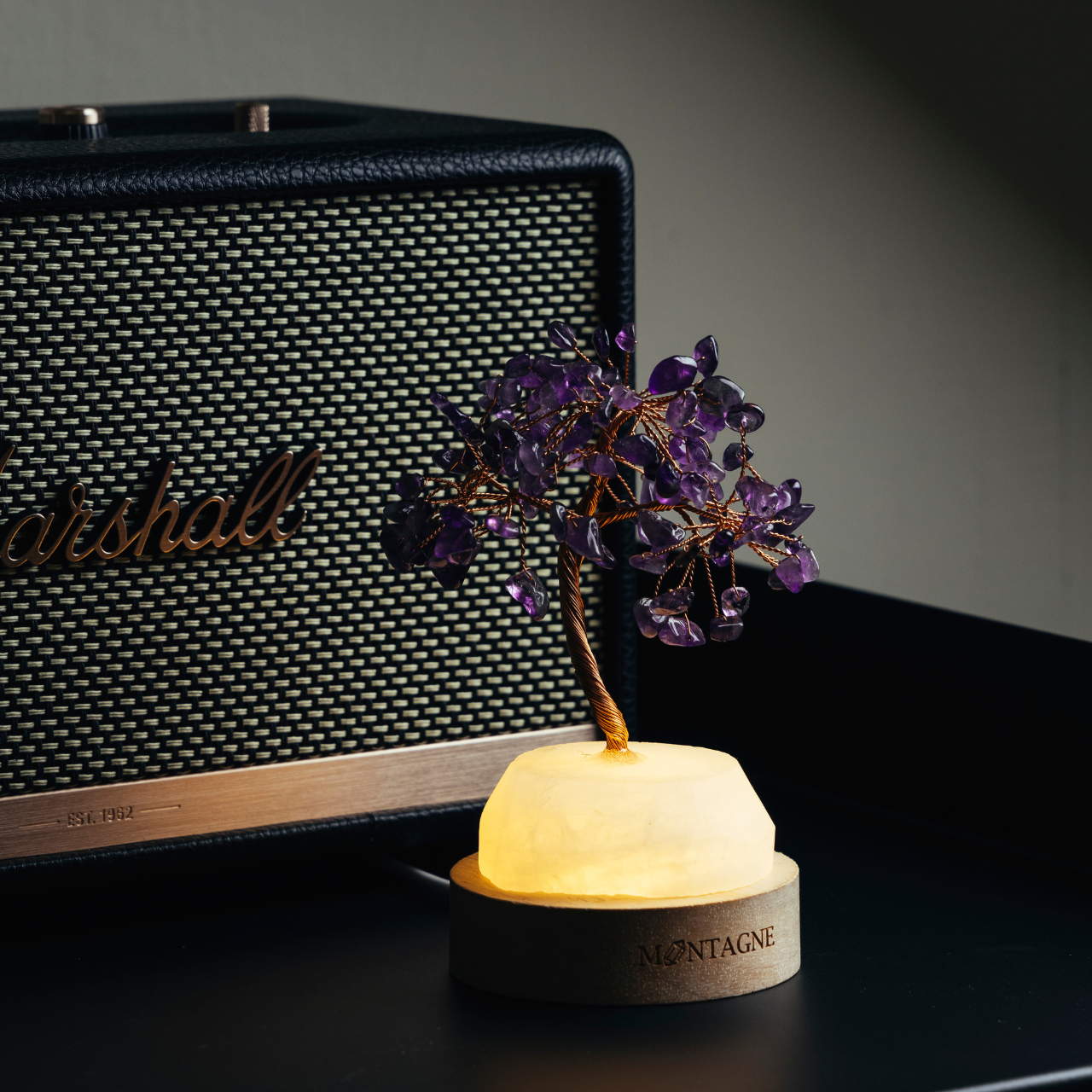 原礦水晶樹|Treasure Tree丨白水晶。紫水晶丨守護。平衡