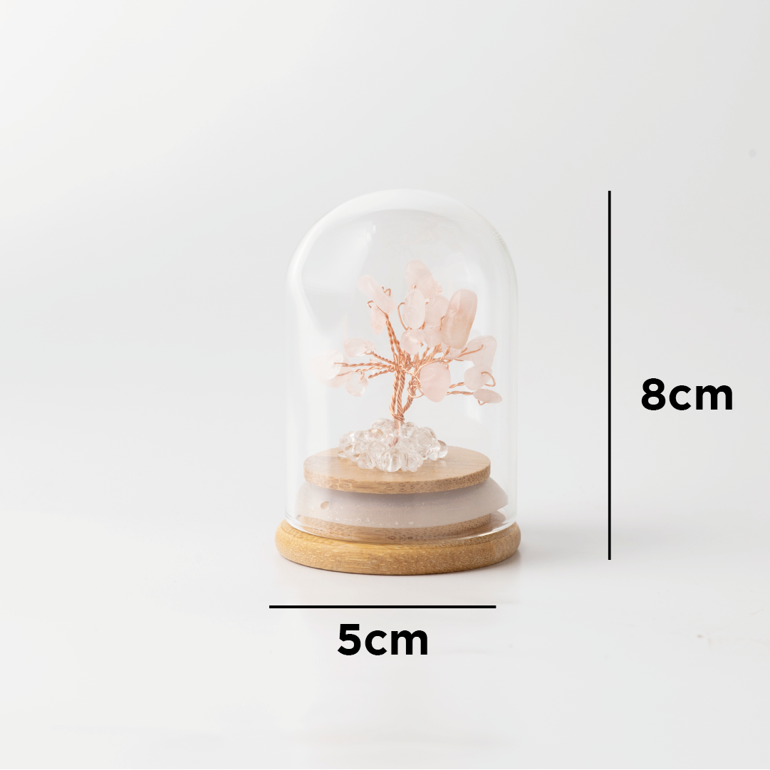 Preserved|粉水晶|愛情。人脈