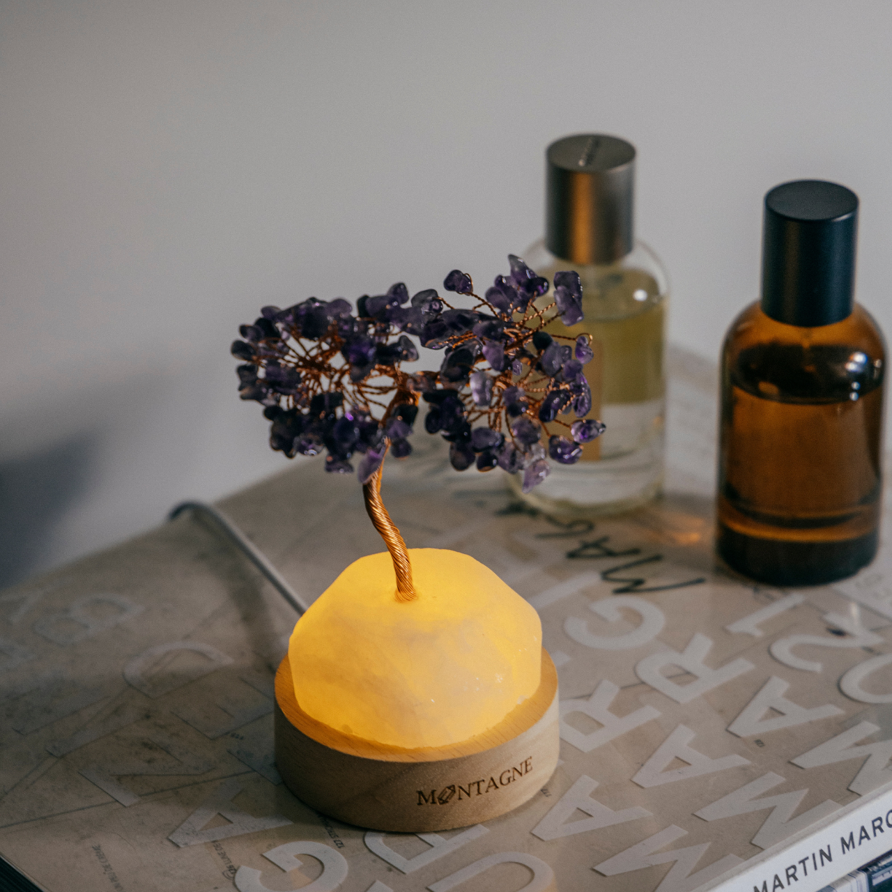 原礦水晶樹|Treasure Tree丨白水晶。紫水晶丨守護。平衡