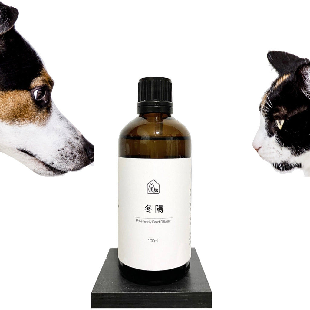 寵物友善|冬陽