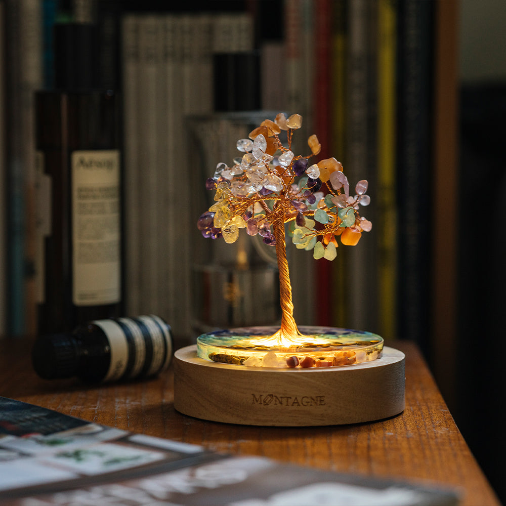 包套水晶樹|5款全包