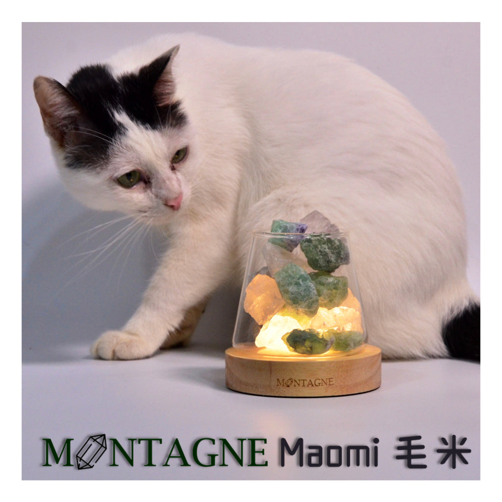 寵物友善精油|冬陽|Montagne山造