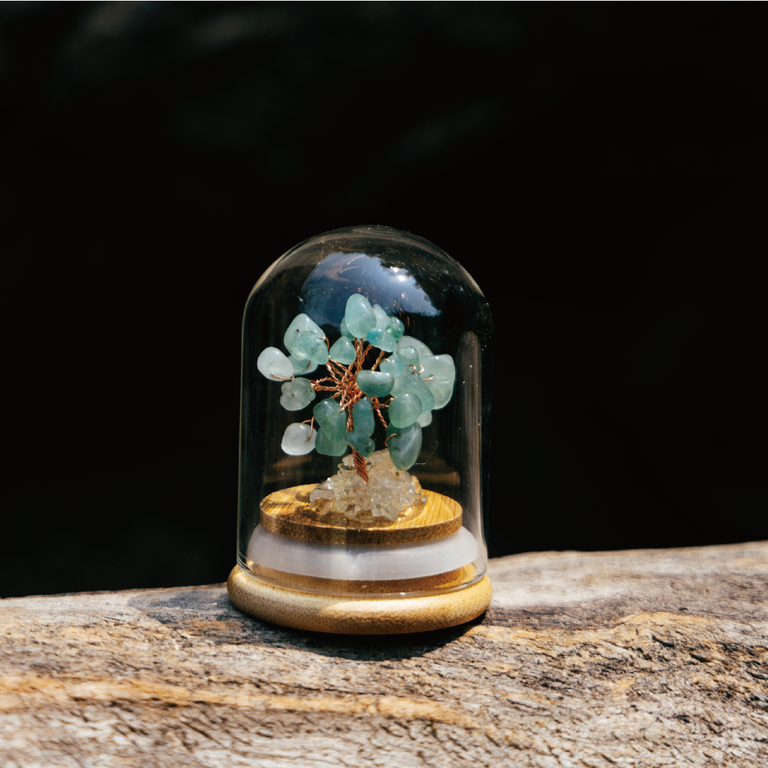 Preserved｜綠東陵｜財富。貴人