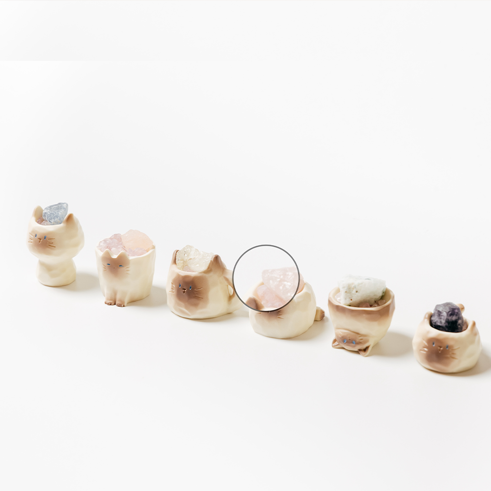 過季特賣｜貓咪盲盒